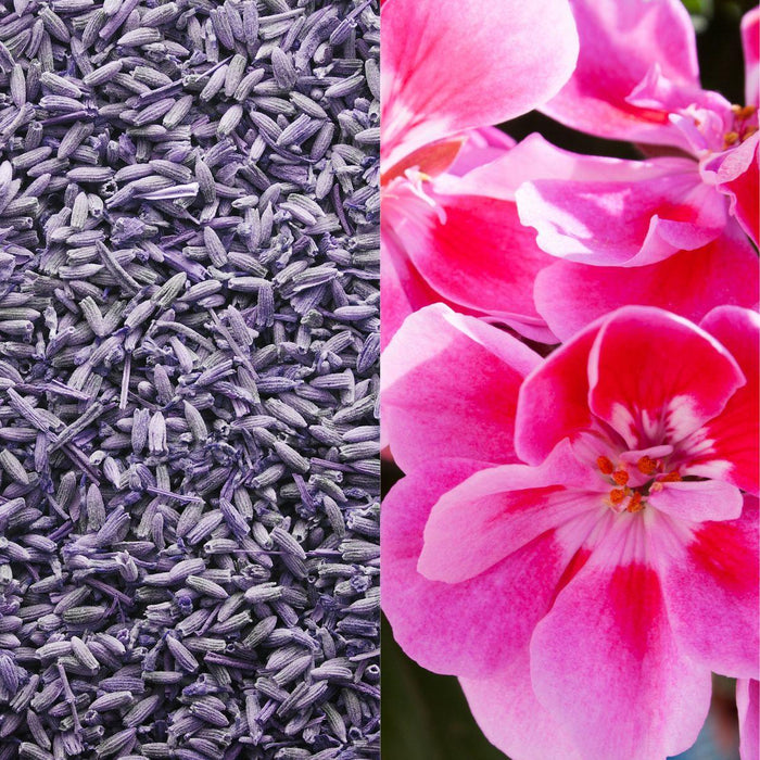 lavender and geranium
