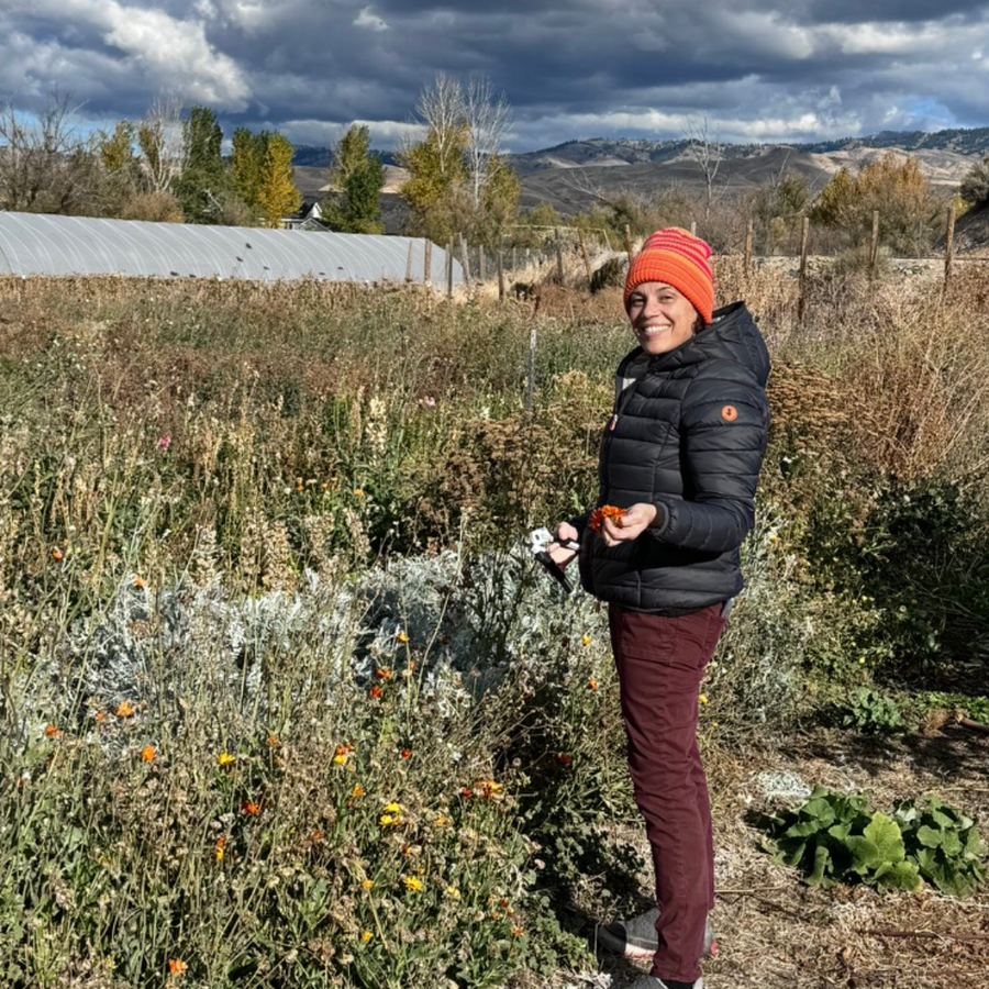 Tracy hellomellow founder